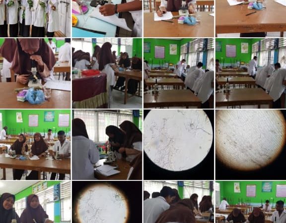 KEGIATAN PRAKTEK SISWA DI LABOR IPA